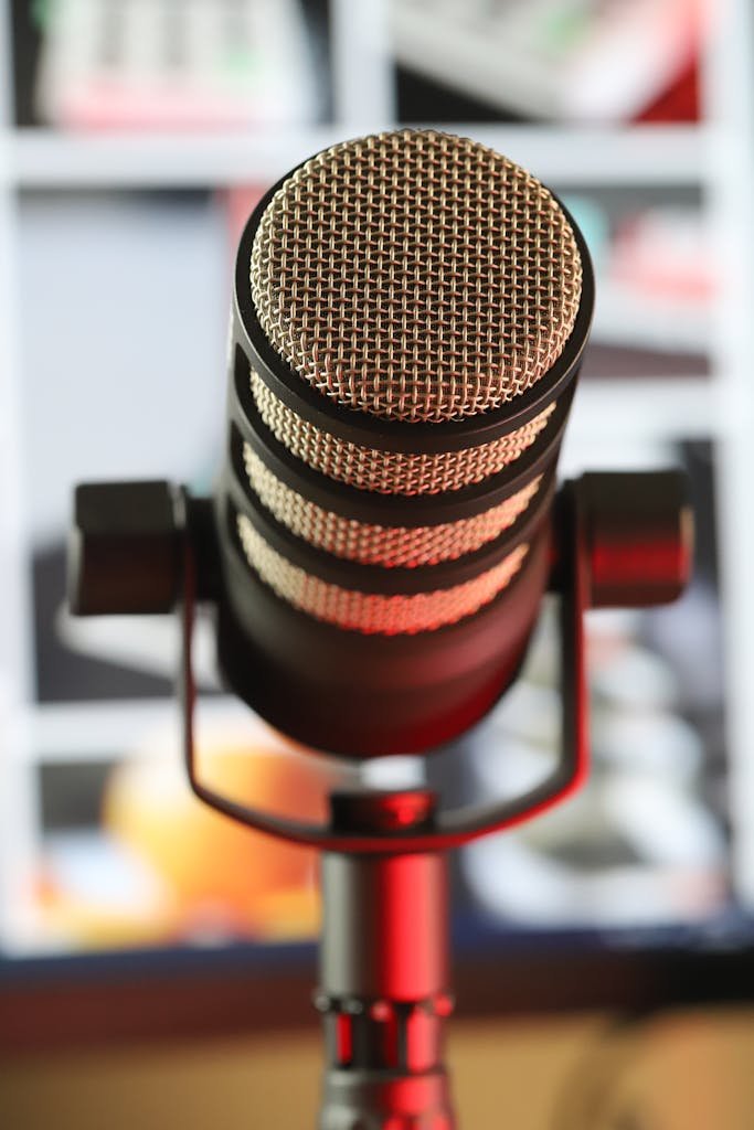 Contemporary studio recording condenser microphone on black stand placed in room with bright framed paintings on blurred background in studio